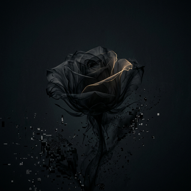 Fişi Çekmek: Kendi Sesimi Aramak